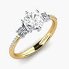 Ring Zanyria